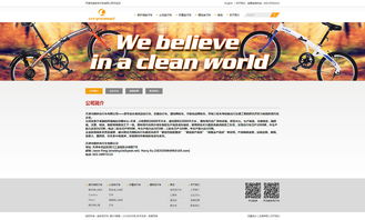 天津網(wǎng)站建設(shè)定制開發(fā) 朗多自行車官網(wǎng)制作