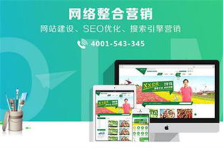 天津網站排名優化公司排名