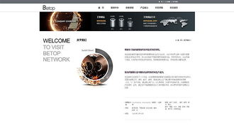 天津網(wǎng)頁(yè)開發(fā)與工業(yè)制造官網(wǎng)設(shè)計(jì)——奔唐網(wǎng)絡(luò)的卓越實(shí)踐